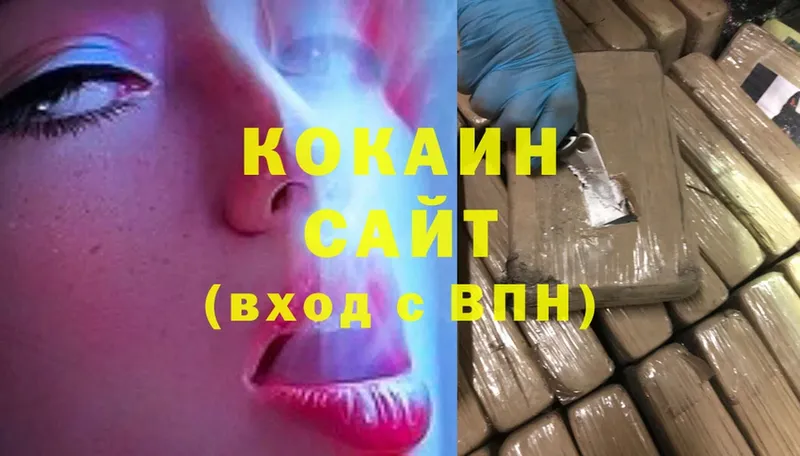 Cocaine FishScale  дарнет шоп  Надым 